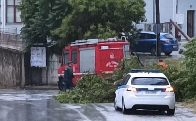 Προβλήματα και στη Φλώρινα λόγω της κακοκαιρίας – Έπεσε δέντρο σε κεντρικό δρόμο