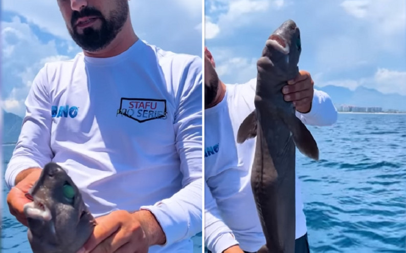 Τούρκος ψαράς έπιασε στα δίκτυα του καρχαρία με σμαραγδένια μάτια