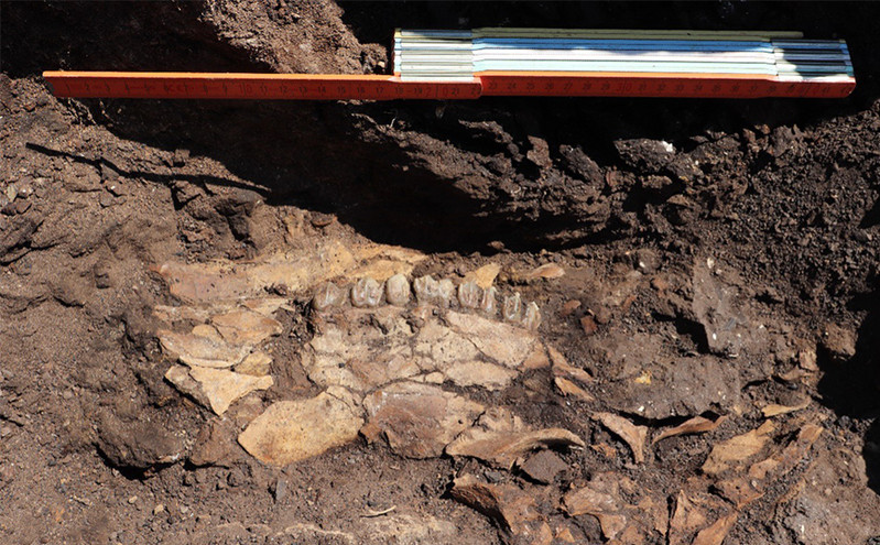 Πέντε νέες παλαιολιθικές θέσεις βρέθηκαν στην περιοχή του λιγνιτωρυχείου Μεγαλόπολης