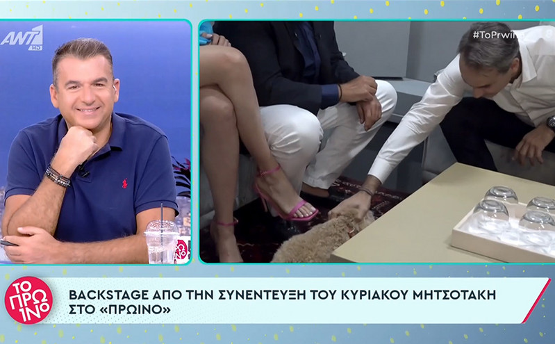 Η ατάκα του Μητσοτάκη για το σκυλάκι του Λιάγκα: Αυτή δεν είχε πάει και στον Τσίπρα;