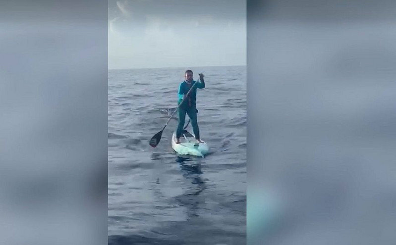 ΗΠΑ: Απίστευτη ψυχραιμία από γυναίκα – Έκανε SUP δίπλα σε καρχαρία 500 κιλών