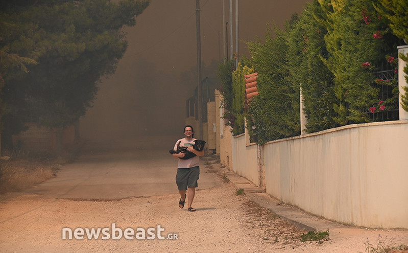 Ειδική Γραμματεία για την Προστασία των Ζώων Συντροφιάς: «Μην αφήνετε αβοήθητα και δεμένα τα ζώα σας στη φωτιά»