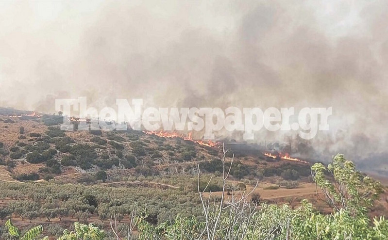 Φωτιά στη Μαγνησία: Καίγονται σπίτια στο Σέσκλο, αγνοείται 45χρονος βοσκός, πυροσβέστης με εγκαύματα β&#8217; βαθμού