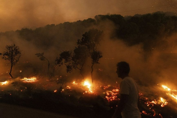 Φωτιά στην Αλεξανδρούπολη: Ολονυχτία μάχη με τις φλόγες σε Έβρο και Ροδόπη – Πάνω από 620.000 καμένα στρέμματα