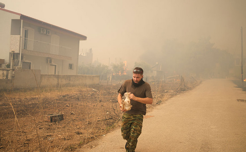 Άντρας τρέχει με μια γάτα στα χέρια από τη φωτιά στις Αχαρνές – Oι φωτογραφίες του Associated Press
