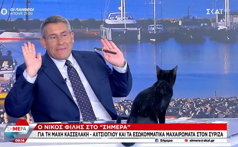 Μαύρη γάτα «εισέβαλε» στο πλατό του ΣΚΑΪ την ώρα που μιλούσε ο Νίκος Φίλης – «Δεν είναι καλό μήνυμα αυτό για τον ΣΥΡΙΖΑ»