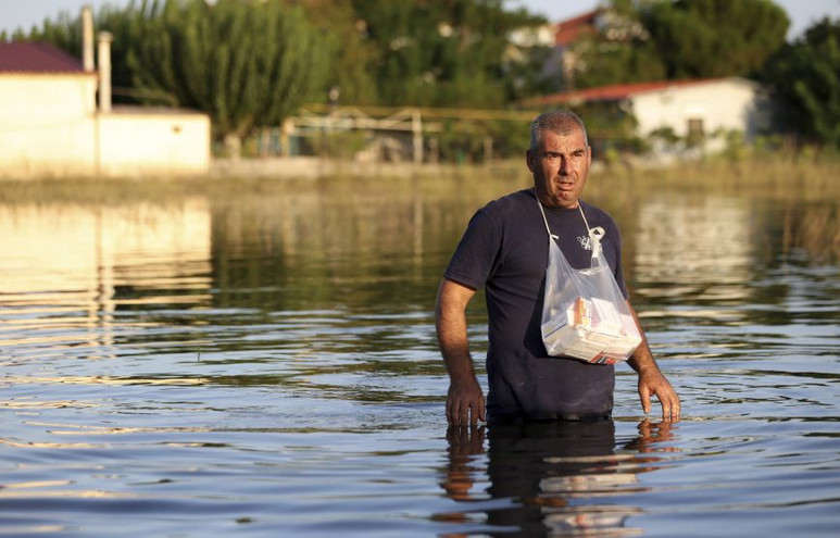 «Καμπανάκι» Λινού για πλημμύρες στη Θεσσαλία: Η απειλή της λεπτοσπείρωσης &#8211; Σοβαρή αρρώστια από τα νεκρά ζώα