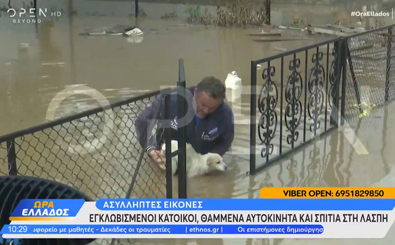 Η στιγμή που ο πρόεδρος του χωριού Σωτήριο σώζει σκυλάκι που έχει εγκλωβιστεί σε καγκελόπορτα πλημμυρισμένου οικοπέδου