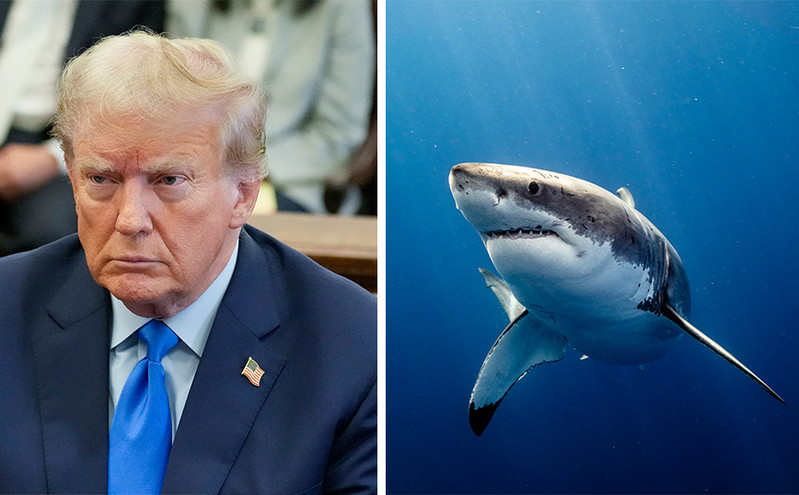 Εμμονή του Τραμπ με τους καρχαρίες ακόμη και στον θάνατο