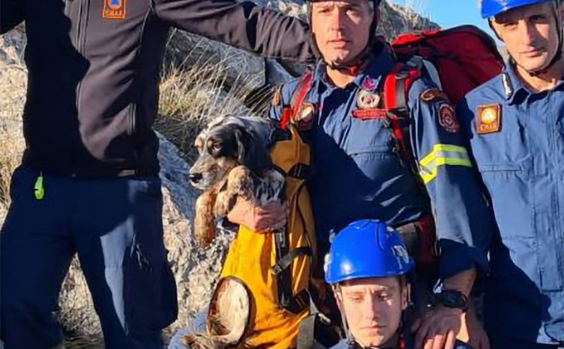 Διάσωση σκύλου από την 6η ΕΜΑΚ Πάτρας &#8211; Καταρριχήθηκαν σε σπήλαιο βάθους 25 μέτρων στην Αργολίδα