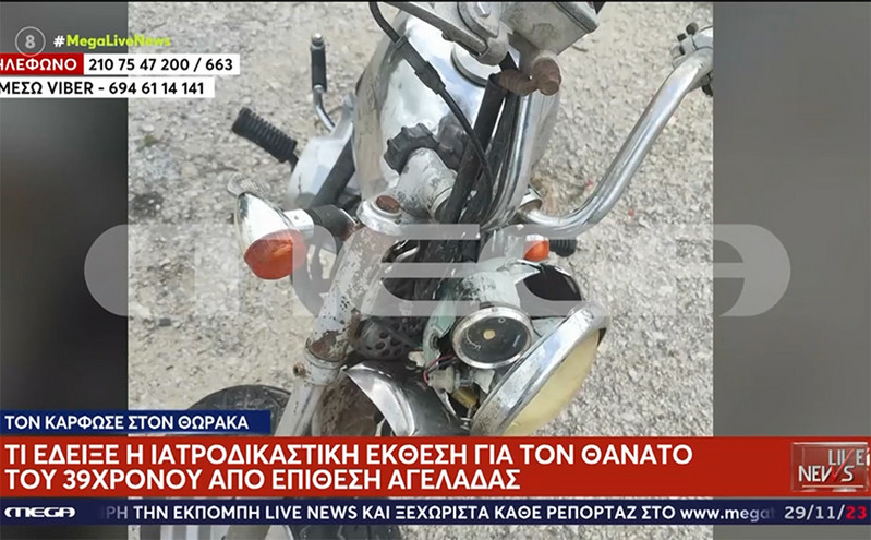 «Τον κάρφωσε στον θώρακα με τα κέρατα και πέθανε ακαριαία», το πόρισμα για τον 39χρονο που τράκαρε με αγελάδα στη Μύκονο