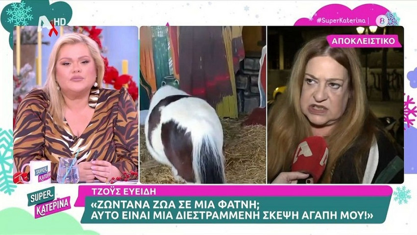 Έξαλλη η Τζόυς Ευείδη με τον Αχιλλέα Μπέο και τα ζωντανά ζώα στις φάτνες – «Αυτό είναι διεστραμμένη σκέψη, δεν είναι πολιτισμένο κράτος»