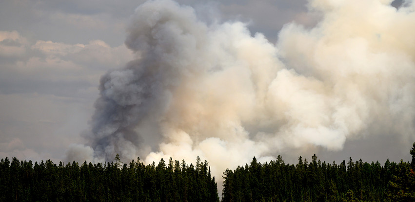«Πυρκαγιές ζόμπι» στον Καναδά: Κάτω από τα χιόνια καίνε ακόμη φωτιές από πέρυσι