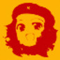 user selected avatar