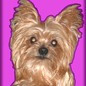 user selected avatar