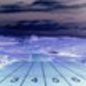 user selected avatar
