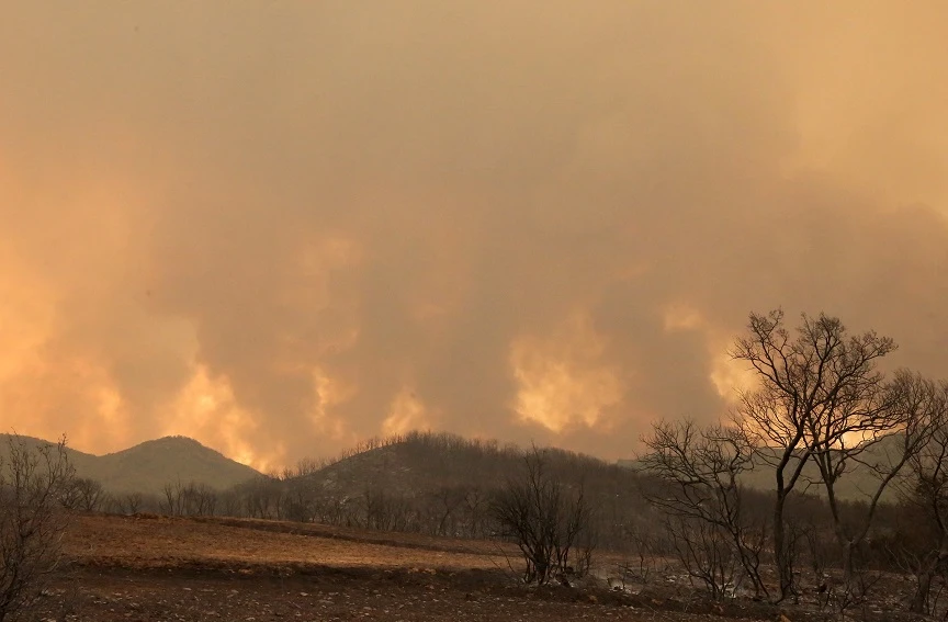 «Ο θάνατος ήταν ταχύτατος, χτυπήθηκαν από το θερμικό κύμα», οι 18 νεκροί από τη φωτιά στο δάσος της Δαδιάς