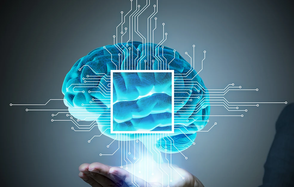 [Εικόνα: brain-1.jpg?gravity=center]