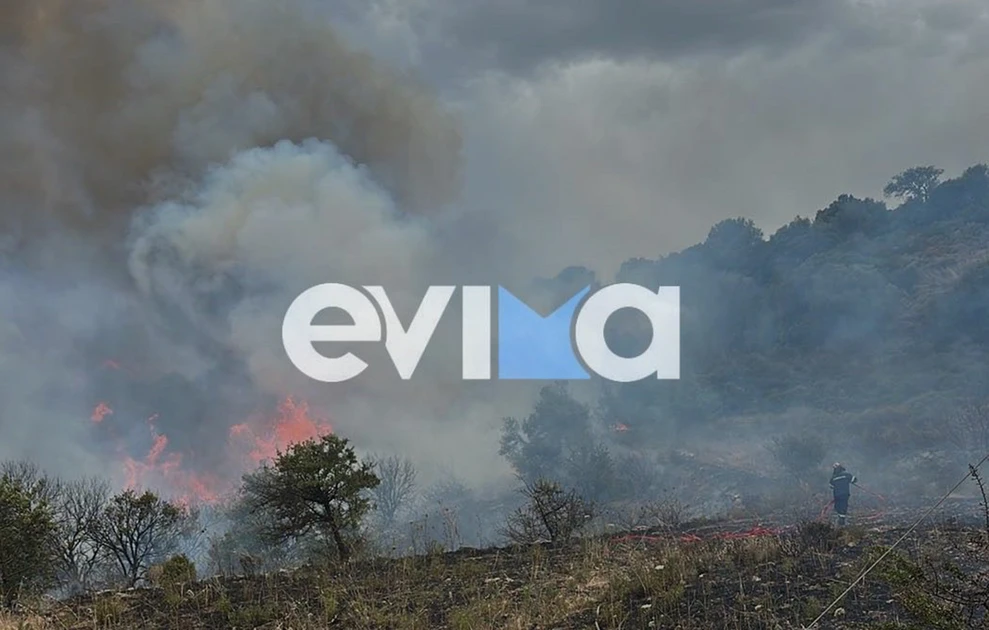 evoia fotia