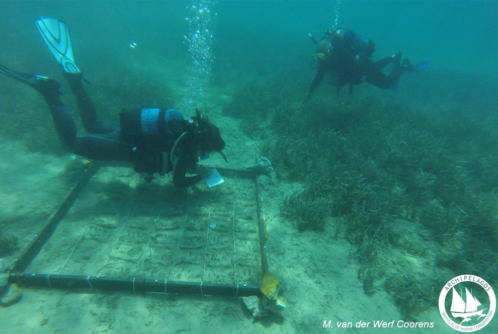scuba divers under water near a metal frame