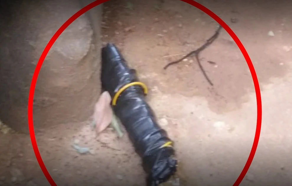 db2e0e74 95b8 4722 919c 979e98414e33